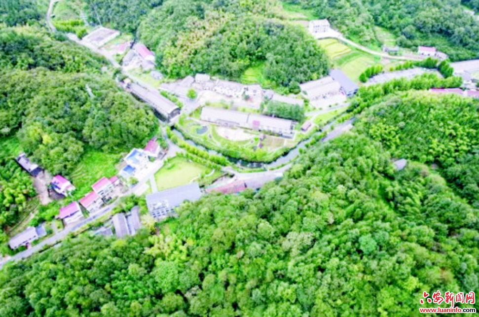 “作家村”秋日漫書香