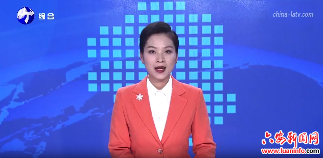 金安 舒城：借合肥都市圈試點啟新程