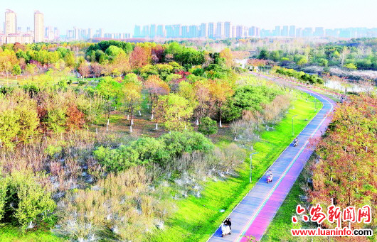 秋景如畫生態(tài)惠民