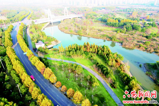 濕地公園 冬景如畫