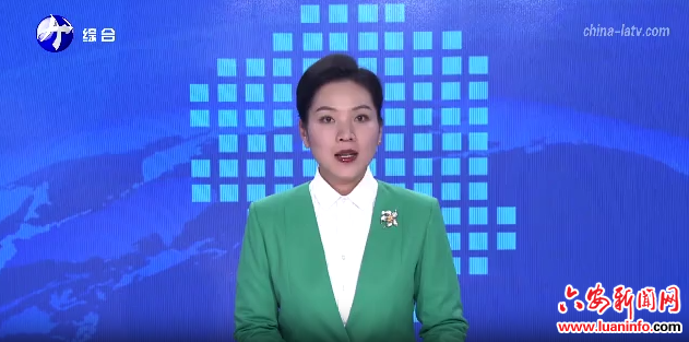 金寨：愛心送餐惠民生