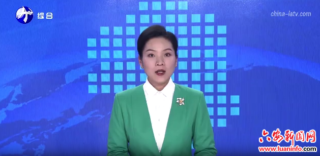 六安：全力筑牢森林防火安全屏障