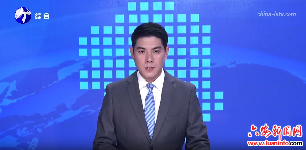 2025年六安市志愿服務(wù)工作成果展示交流會舉行