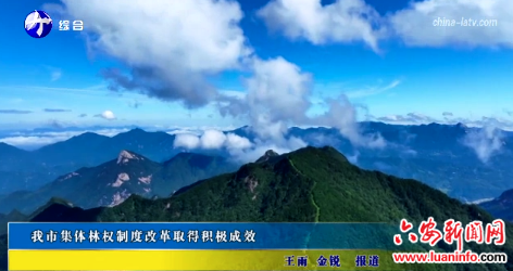 我市集體林權(quán)制度改革取得了積極成效