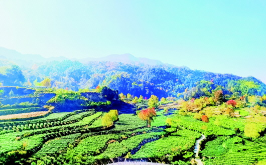 日出東方有高山